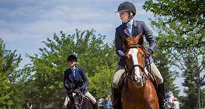 Horse Show - Elk Grove, CA